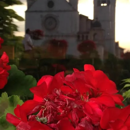 Le Dimore Arcangelo Giuseppe * Assisi