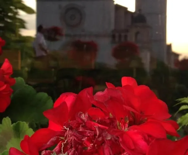 Le Dimore Arcangelo Giuseppe * Assisi